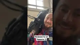 Нежный конь )