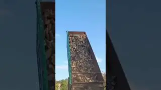 НЕЖДАНЧИК 🤯