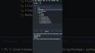 How to hide user input in Python? 