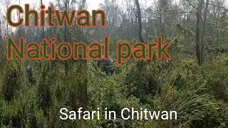 Safari in Chitwan || Chitwan National park || One Horn Rhino ||