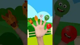Finger Family Animal - Where are you?