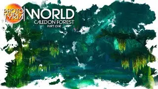 Guild Wars 2 - Photo Tyria World - Caledon Forest Part One
