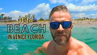 Megaladon Tooth and Turquoise water: Manasota Key, Venice