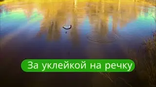 ✔ Fishing for bleak ( bucklya) in spring 🎣 on the river🌊 Dema. 17. 04. 2023✔