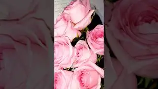 Розовые розы 🌹🌹🌹 #shorts #shortvideo #шортс #розы #розовыерозы #handmadeотверы #вязаниекрючком