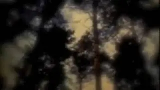 them:youth breaks remix