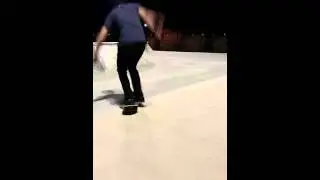 Dolphin Flip!? Mad Steez