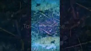 Take your time, take a few conscious breaths... 🌌🙏💖🐳