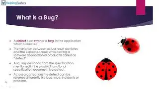 Bug vs Failure - Software Testing Tutorial 27