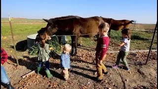 What is it like to live on a farm?