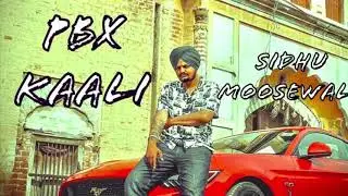 PBX KAALI-SIDHUMOOSEWALA (Not Leaked) New Punjabi Song 2023