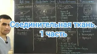 Гистология. Соединительный ткань.  РВСТ. Фибробласты. #13