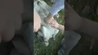 Our guest. Гостья.
