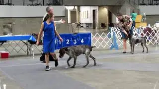 2021 Topeka KC (Grizwold & Jingle)