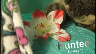 Hunted | Episode 10