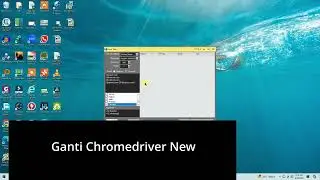 Replace chromedriver