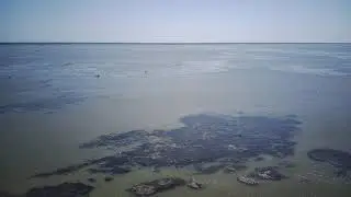 Над дельтой Волги Пугаем чаек