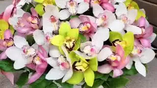 Цветы в корзине Красногорск, Нахабино, Дедовск и Истра