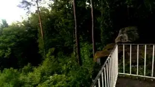 On a mountain