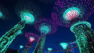 LIGHT SHOW SUPER TREE GROVE GARDEN BY THE BAY SINGAPORE