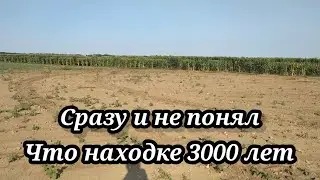 СРАЗУ И НЕ ПОНЯЛ,ЧТО НАШЕЛ. КОП 2021. НАХОДКИ С ФОРТУНА ПРО 2