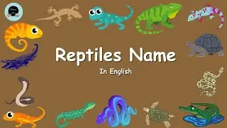 #Reptilesname #reptilesnameinenglish #inenglish @Maggie Byes
