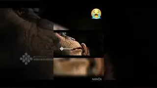 Ami Je Tok Dawat Dilam Kek Jani Kosna#shorts