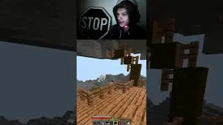 YOU CAN'T SAY THAT ON TWITCH #views #minecraft #shorts