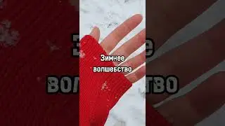 Зимнее настроение посреди жаркого лета #ЗаМигДоТебя #ВираЛин #слр #книгиосень2024