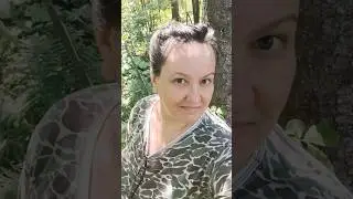 Снова Иван чай 🫖 краснеет лесная малина и  шиповник Пермь д. Жебреи(17июля)  
