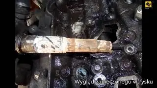 Diesel Servis PPHU Aleksander Sikora