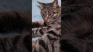 Я чувствую,  что за мной кто то... 
