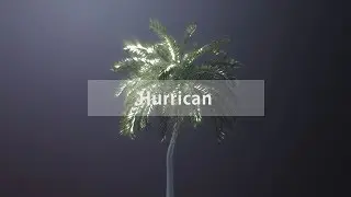 Visual | Hurricain