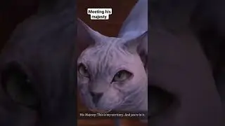 meeting his majesty 