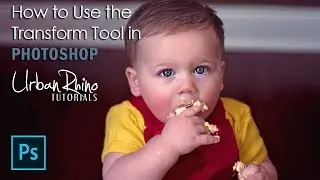 How to Use the Transform Tool in Photoshop