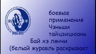 Боевые применения тайцзицюань
