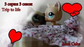 Trip to life (3 серия 3 сезон)