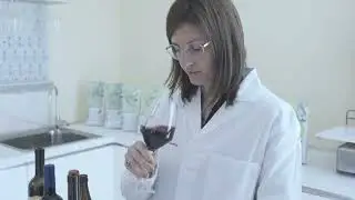 Corporate Francy oenology