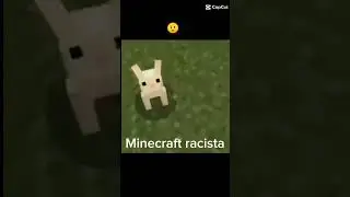 Minecraft racista