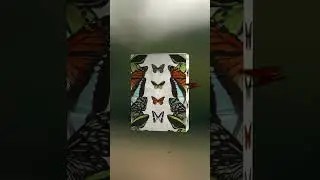 Butterfly overlays pack - for filmmakers  
