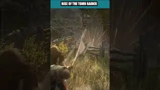 Fowl Play Challenge Extended - Rise Of The Tomb Raider