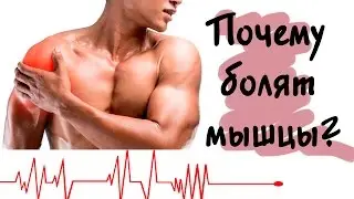 Почему болят мышцы после тренировки?