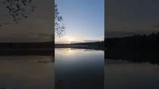 но утки уже..