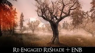 SKYRIM SE ENB - Re Engaged ReShade + ENB