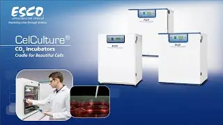 CelCulture® CO2 Incubator (CCL) from Esco Technologies