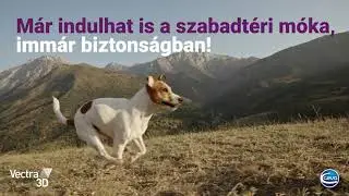 Vectra 3D rácsepegtető oldat kutyáknak, a megfelelő védelemért | Petissimo