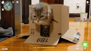 Kirara's Burst IRL