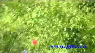 свадебная пневмохлопушка 60 см, блестящее конфетти