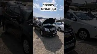 ЭНГ АРЗОНИ