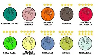 Every Level of Human Intelligence (IQ) Explained in 9 Minutes